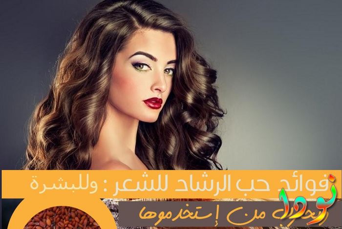 فوائد حب الرشاد للمفاصل للعظام للشعر للتخسيس للجنس نودا