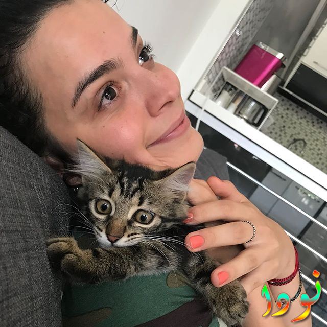 اصلي بكير اوغلو مع قطتها الصغيرة