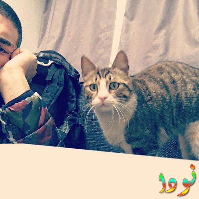 صورة لشوكرو أوزيلديز مع قطته