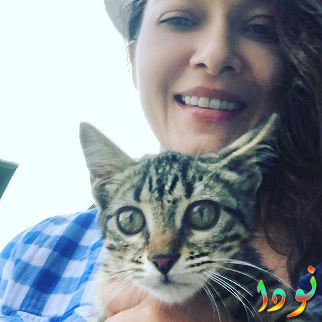 نورغول يشيلتشاي وقطتها