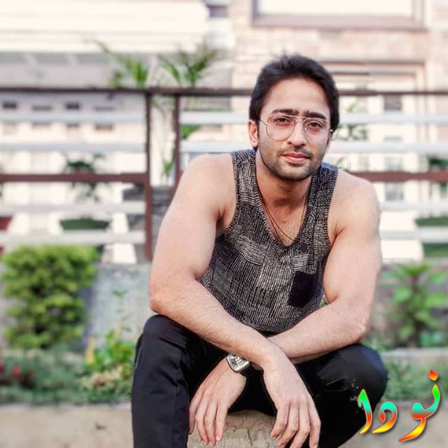 Shaheer Sheikh