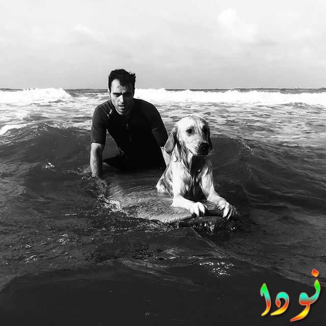هاكان كورتاش وكلبه