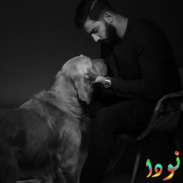 الممثل المصري حازم أيهاب