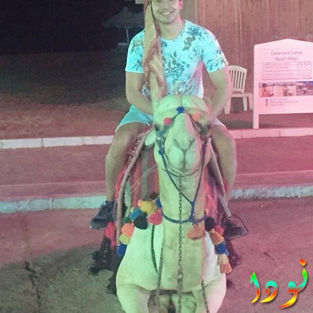 محمد أنور فوق الجمل