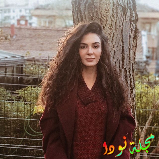 ايبرو شاهين 2018