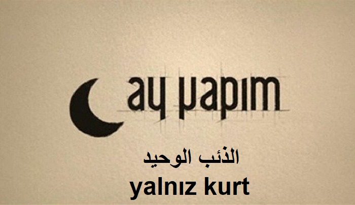 قصة مسلسل الذئب الوحيد Yalnız Kurt