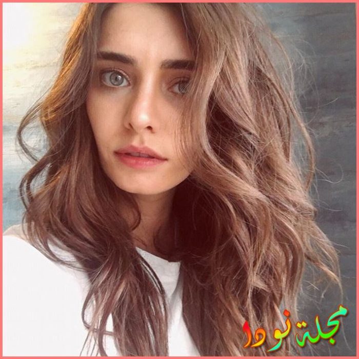تولين يازكان