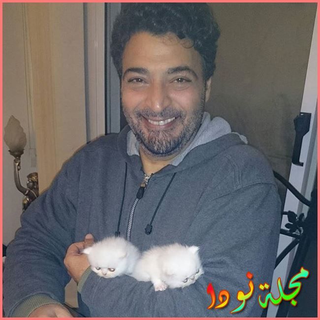 حميد الشاعري عاشق للقطط