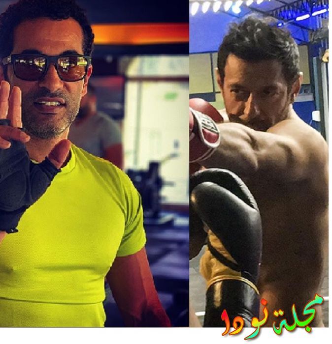 قصة مسلسل عش الدبابير لأبطاله مصطفى شعبان و عمرو سعد