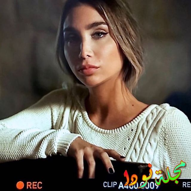 معلومات عن جوي سلامة