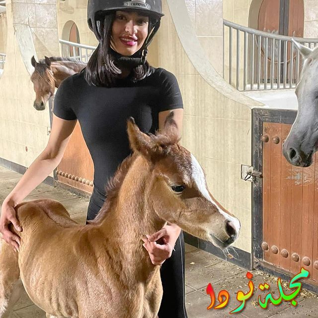 سناب ليالي دهراب