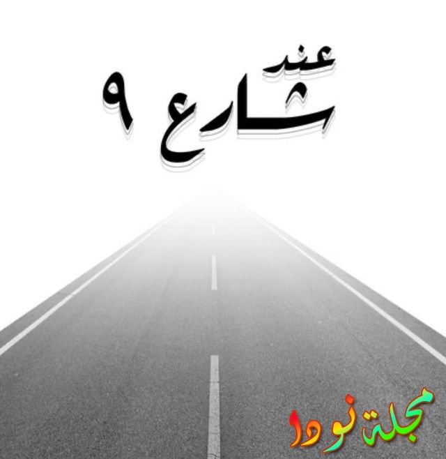 قصة مسلسل عند شارع 9