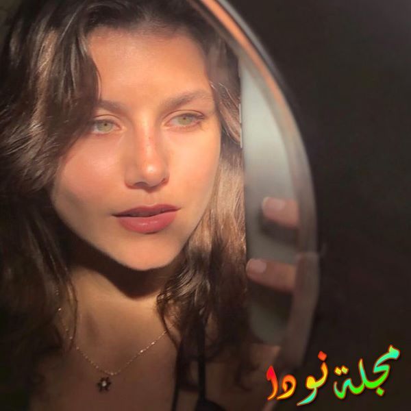 ميليس سيفينتش