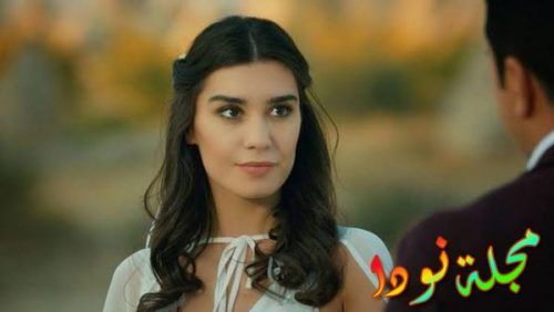 مسلسل الغابة السوداء